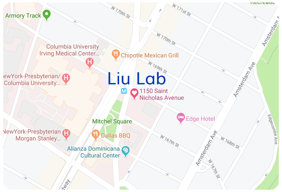 Lab Google Map